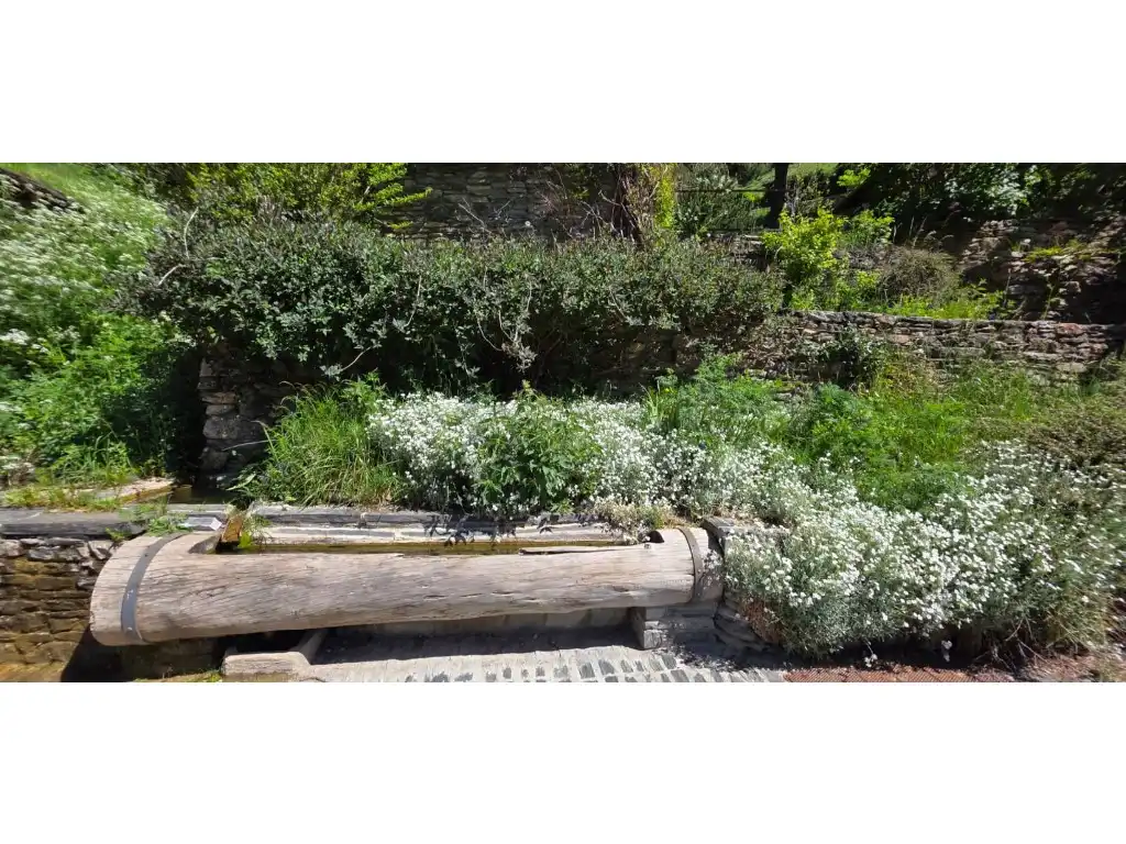 Jardí de Casa o xalet en venda en La Massana