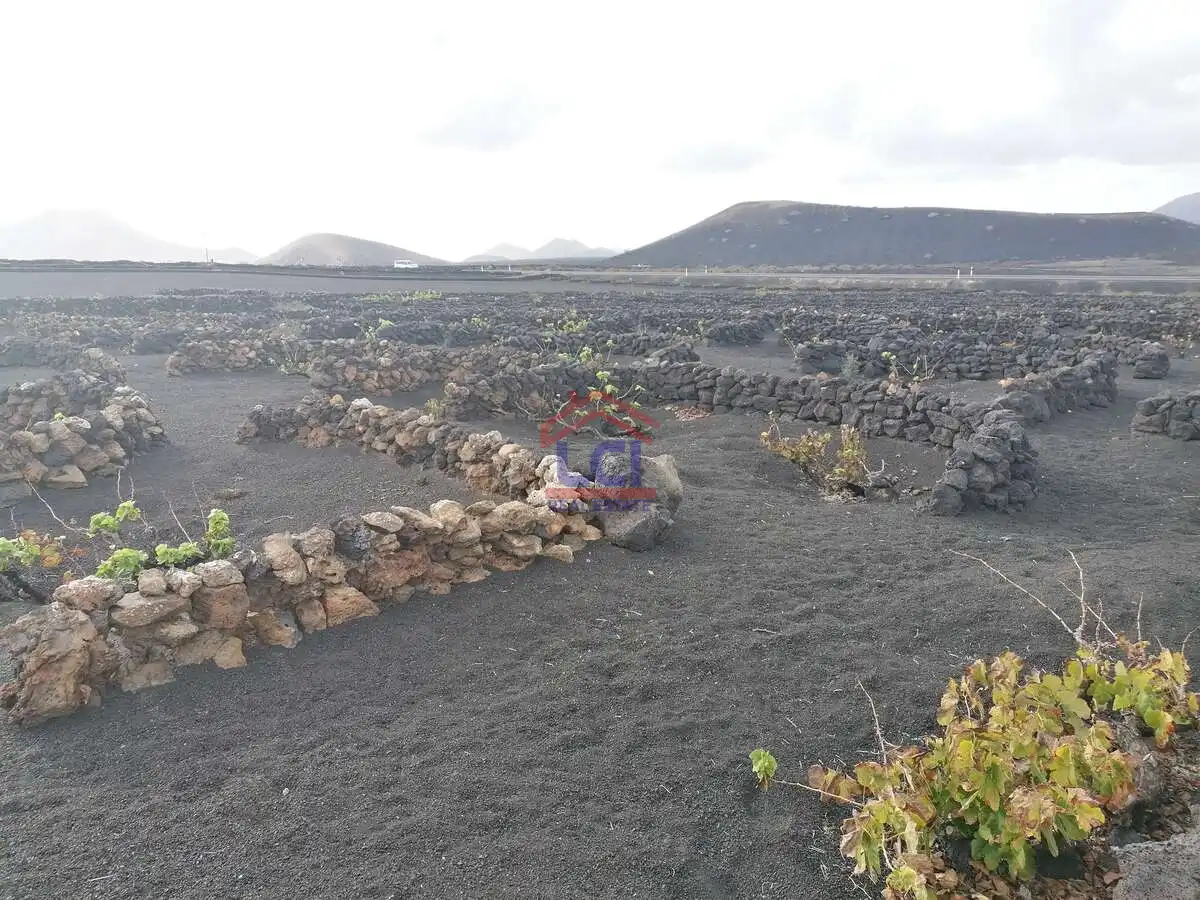 Terreno en venta en Yaiza