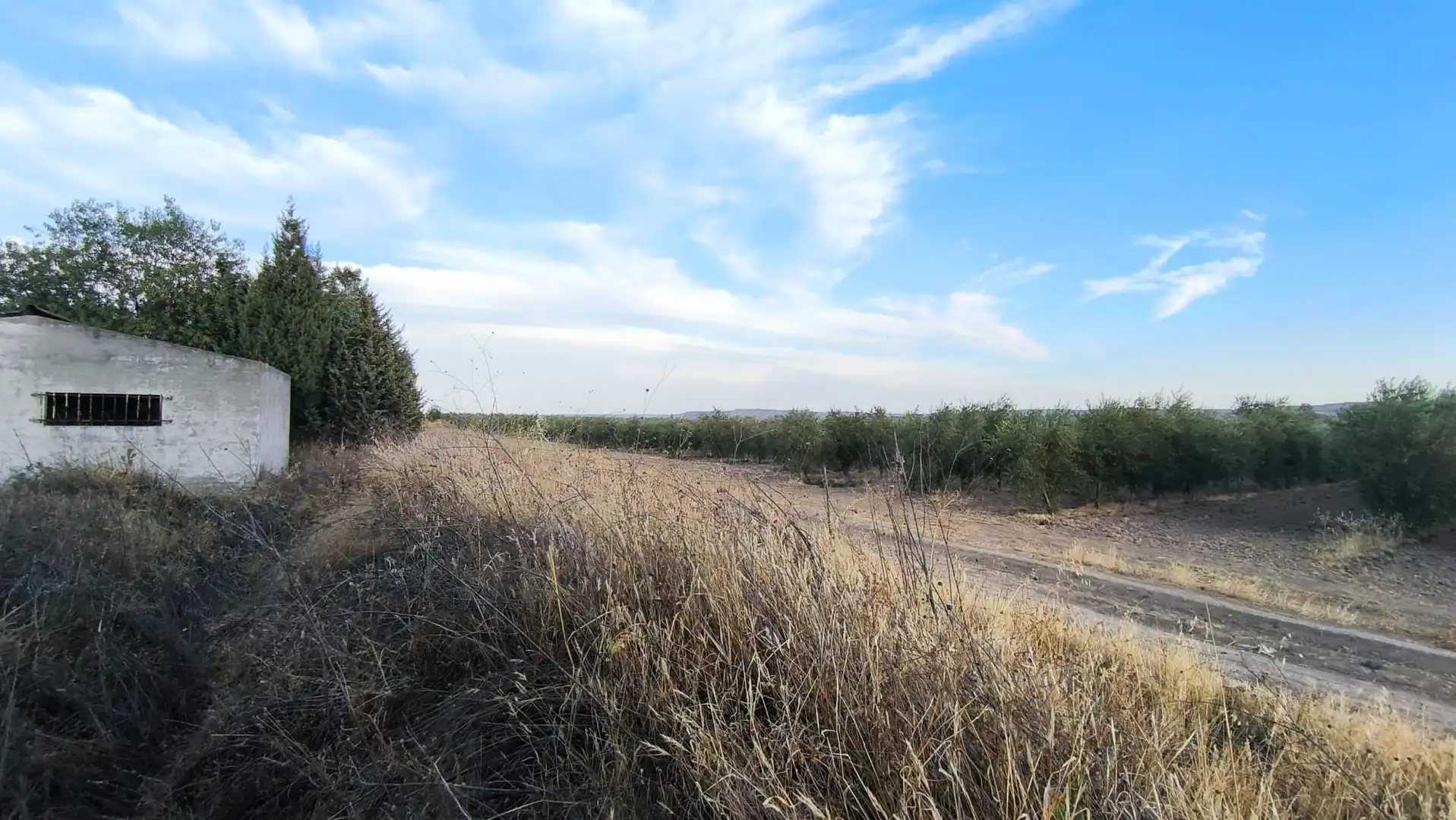 Terreno residencial en venta en Colmenar de Oreja, imagen 2