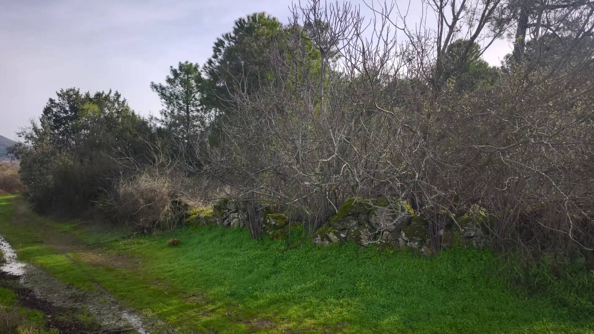 Terreni e lotti in vendita a Santa María del Tiétar, imagen 6