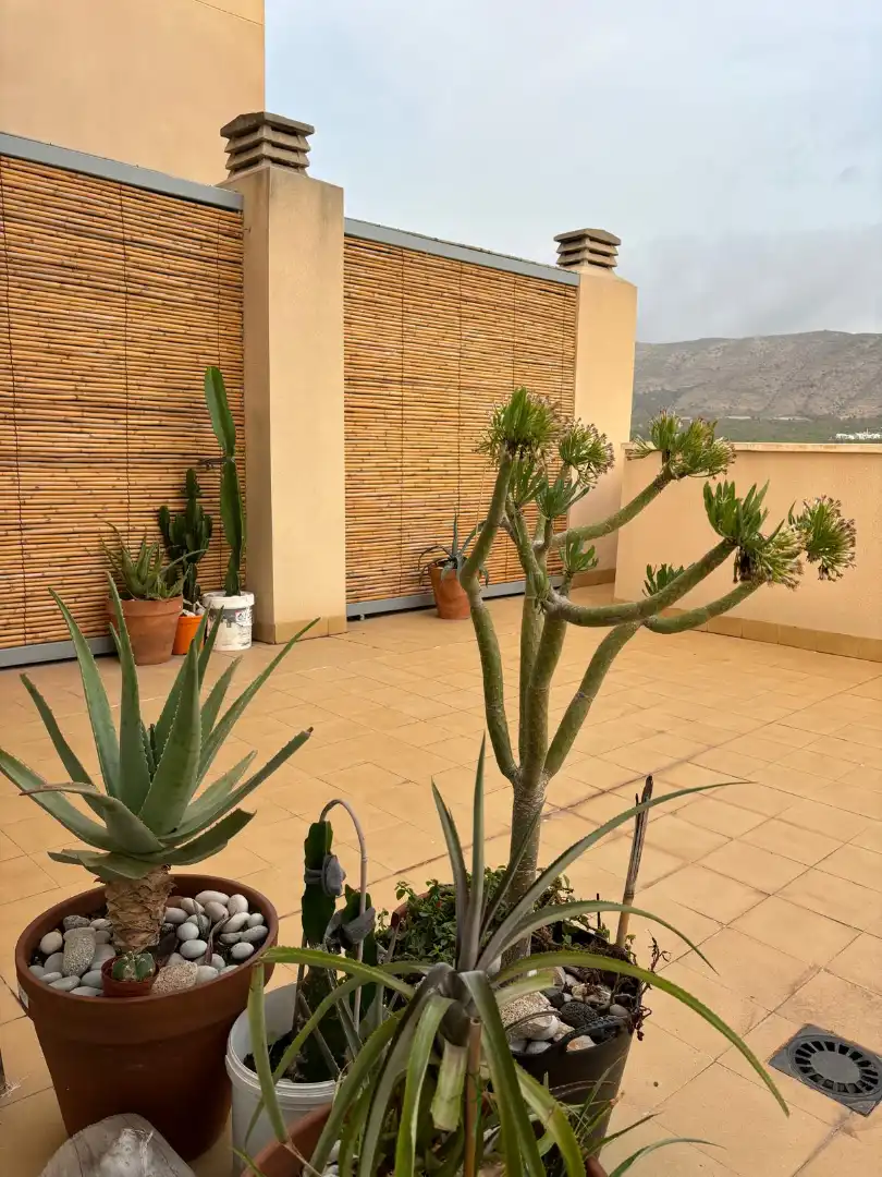 Terrassa de Apartament de lloguer en Benidorm amb Aire condicionat, Calefacció i Terrassa