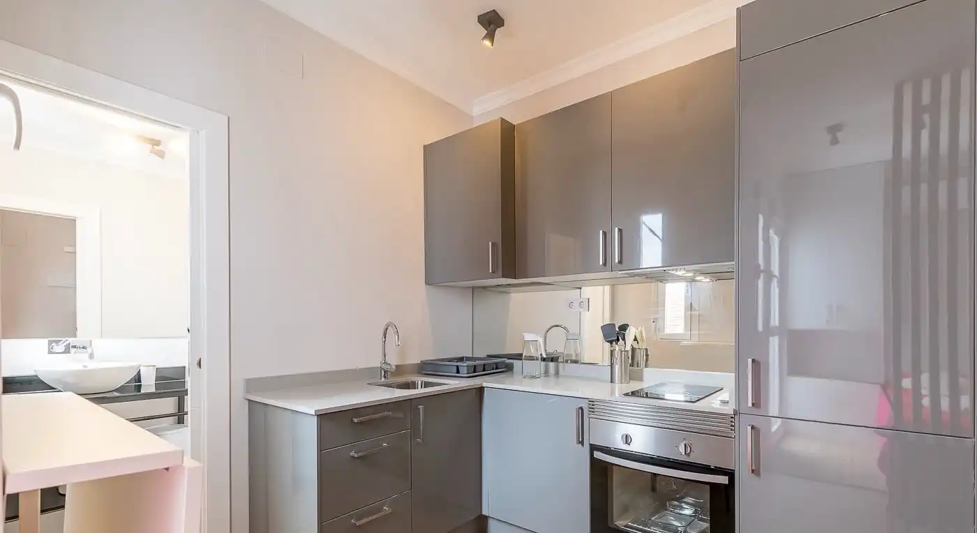 Cocina de Apartamento de alquiler en Madrid con Aire acondicionado, Amueblado y Se aceptan mascotas