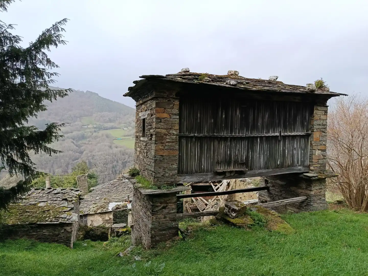 Vista exterior de Finca rústica en venda en A Pontenova   amb Jardí privat, Terrassa i Balcó