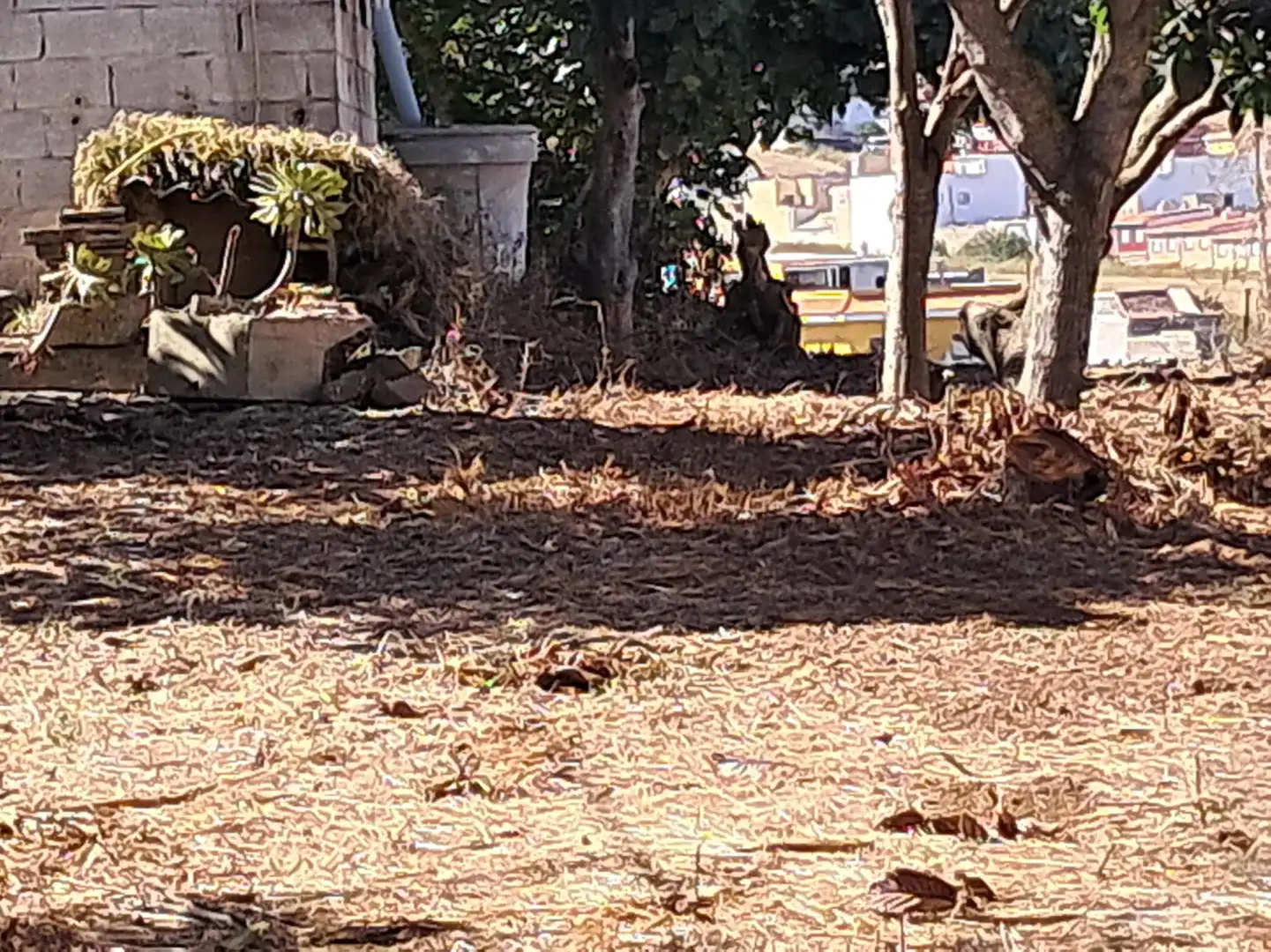 Casa o xalet en venda en San Cristóbal de la Laguna amb Jardí privat