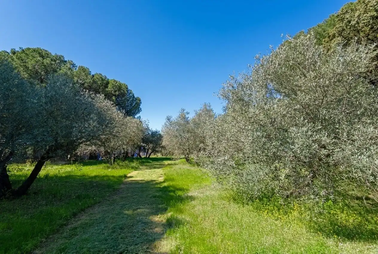 Finca rústica en venda en Andújar amb Jardí privat i Terrassa