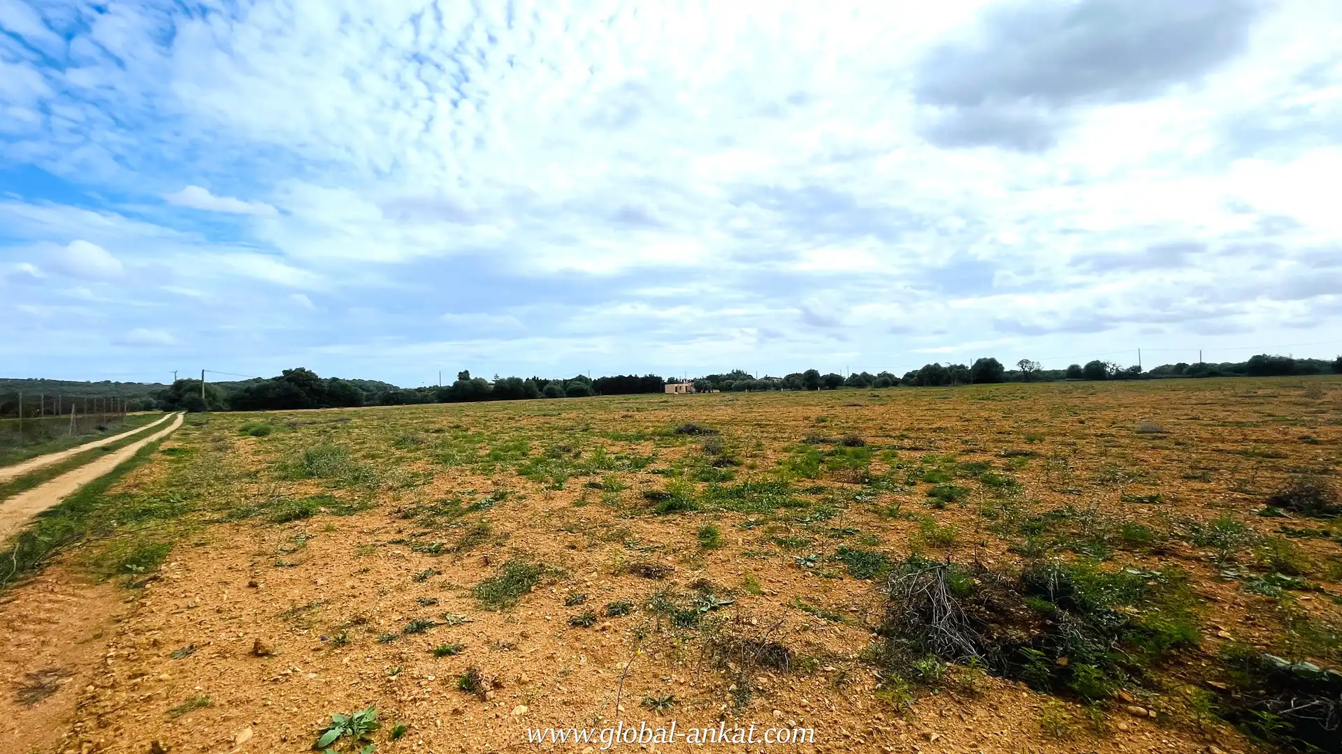 Residential land for sale in Felanitx Poble, imagen 4