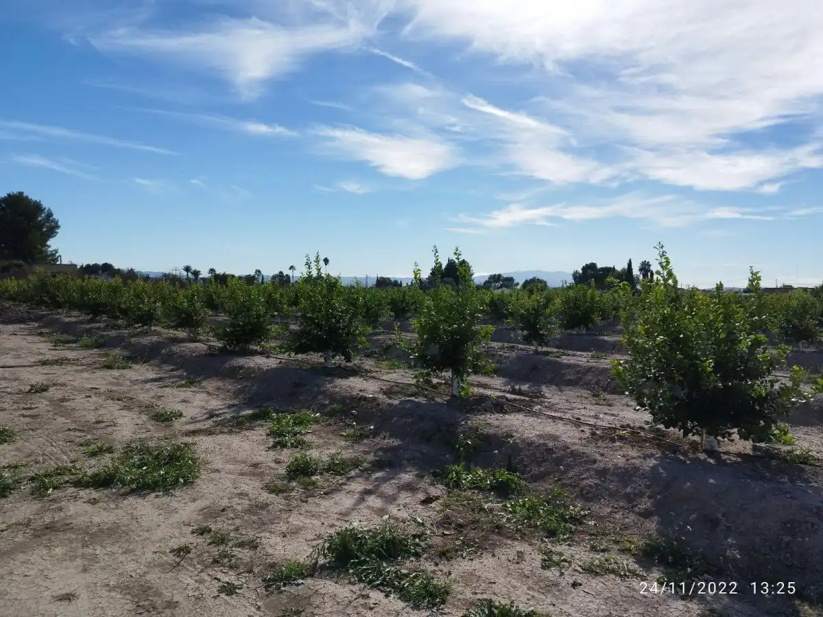 Terreny residencial en venda a El Llano, imagen 15