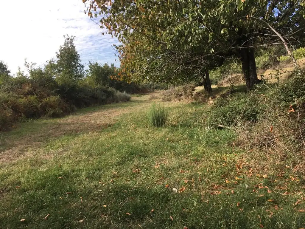 Terreni e lotti in vendita a Aldeanueva de la Vera, imagen 7