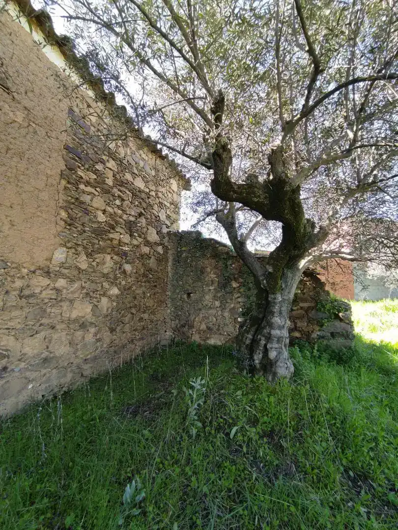 Vista exterior de Piso en venta en Aldeanueva de San Bartolomé