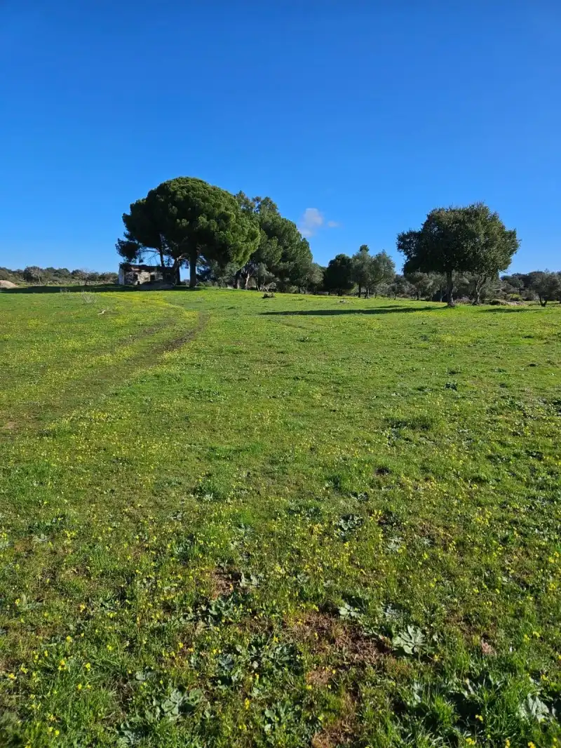 Terreni e lotti in vendita a Aldea del Cano, imagen 76