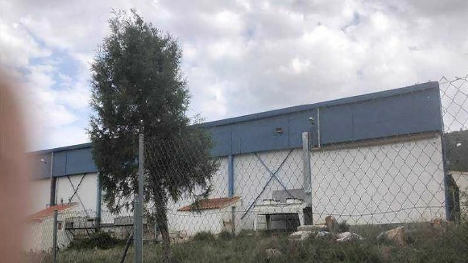 Vista exterior de Nave industrial en venta en Manzanera