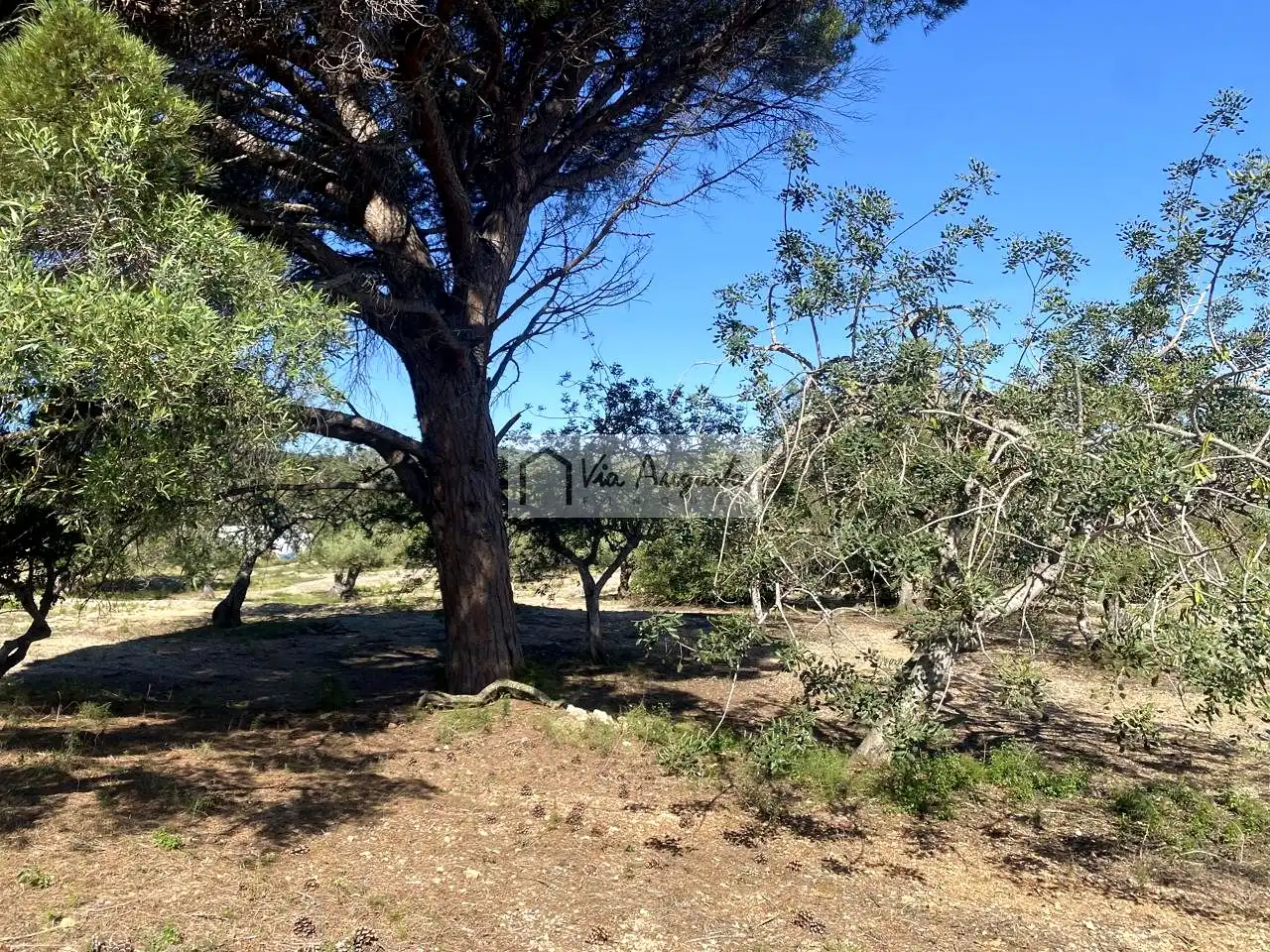 Terreno rustico in vendita a Rabasada, imagen 13