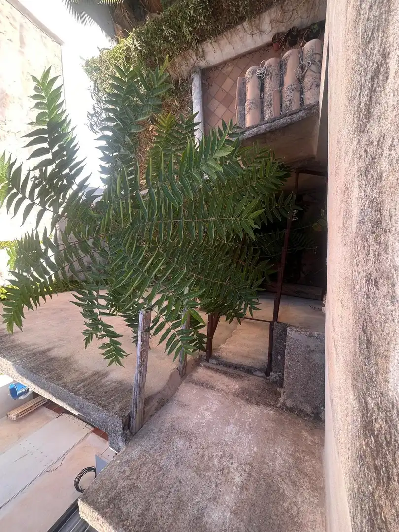 Appartamento con terrazza in vendita a Llevant, imagen 25