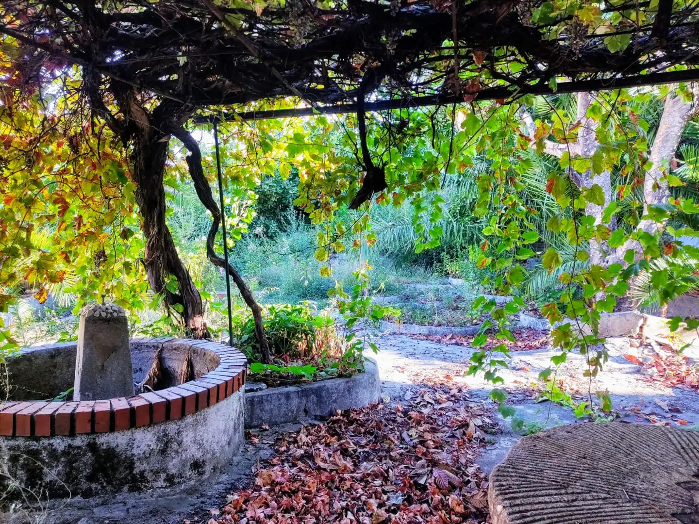 Jardí de Casa o xalet en venda en Jarandilla de la Vera amb Jardí privat