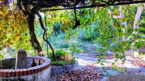 Photo 3 of House or chalet for sale in Jarandilla de la Vera, Cáceres