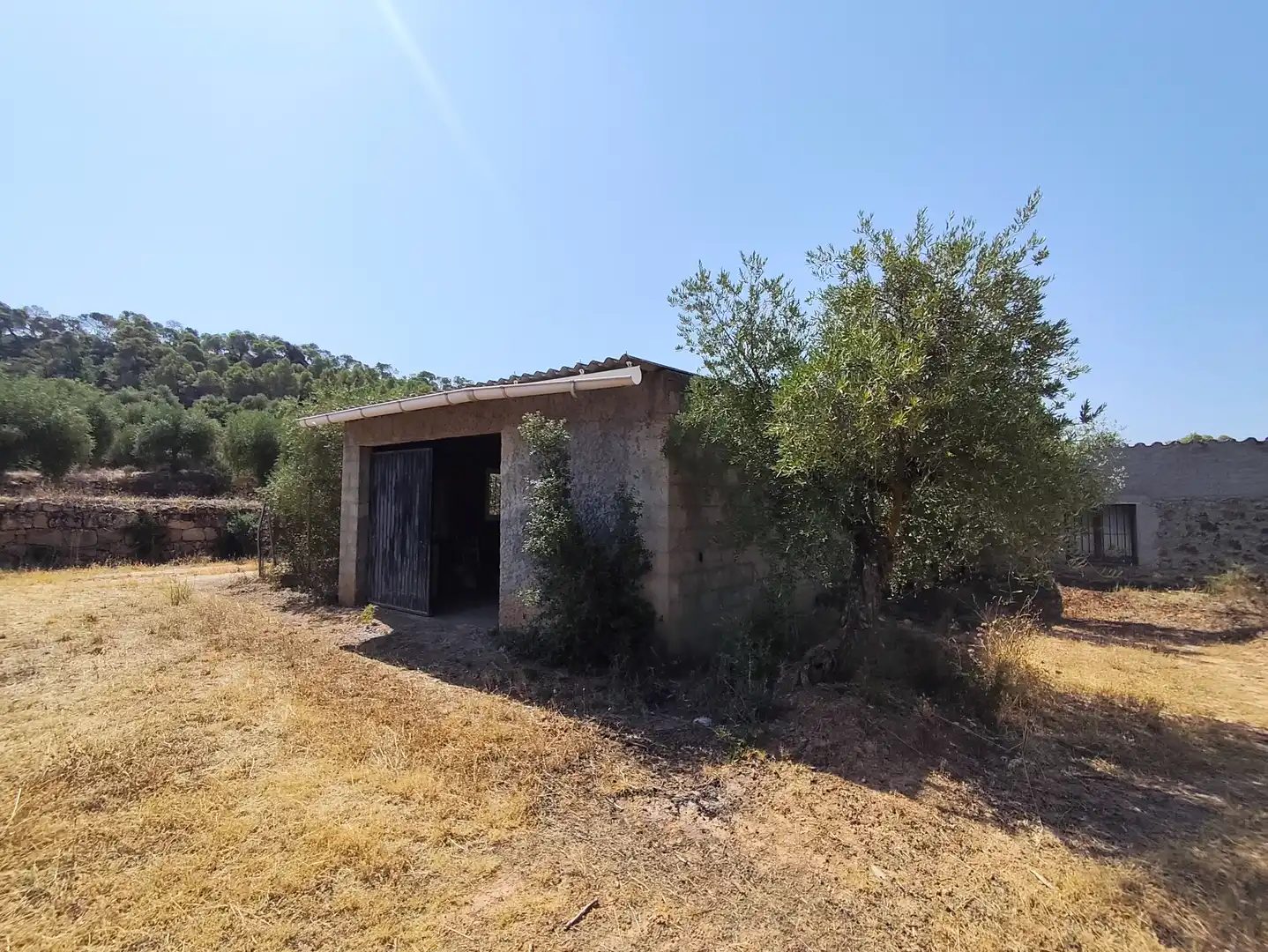 Terreno en venta en Cervià de Les Garrigues