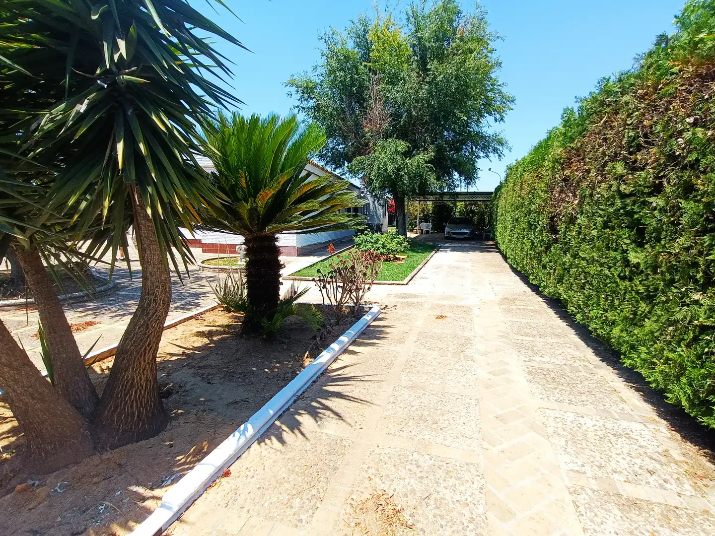 Jardín de Casa o chalet en venta en Espartinas con Aire acondicionado, Jardín privado y Terraza
