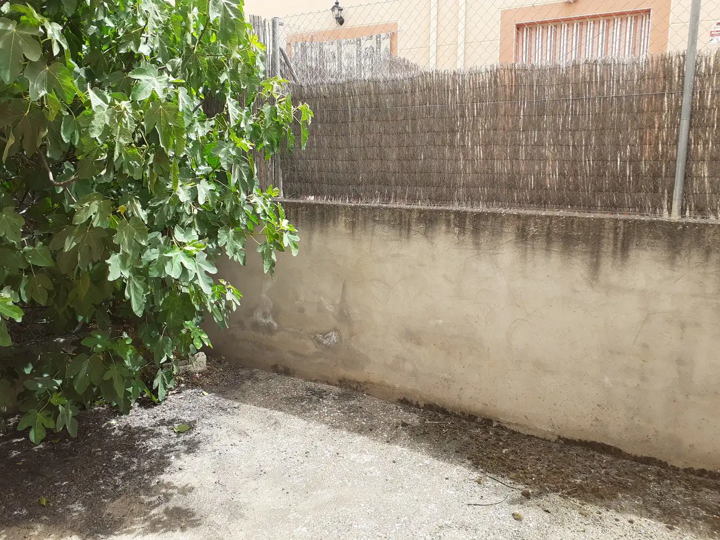 Jardín de Casa adosada en venta en Malagón