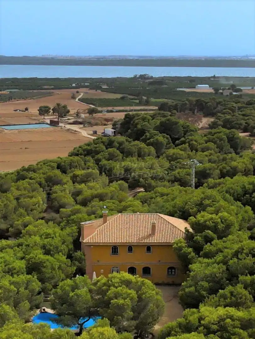 Edifici en venda en Rojales