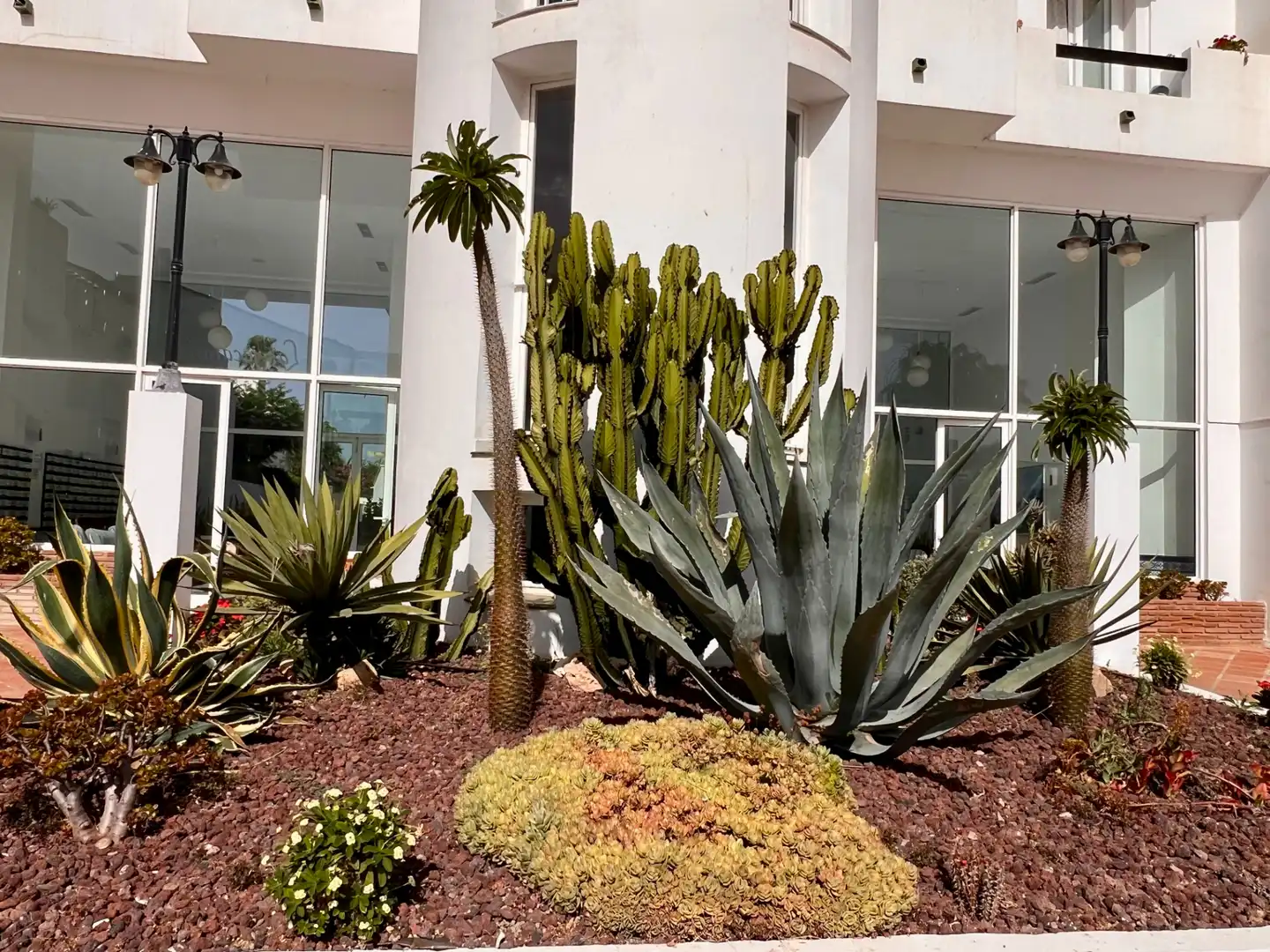 Apartament amb piscina en venda a Calle del Tenis, imagen 51