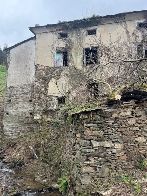 Vista exterior de Finca rústica en venta en Castropol