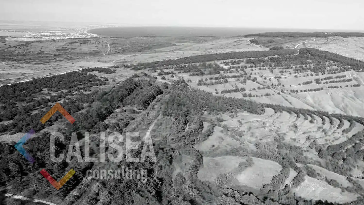 Industrial land for sale in Carrer de la Garrotxa 139, imagen 5
