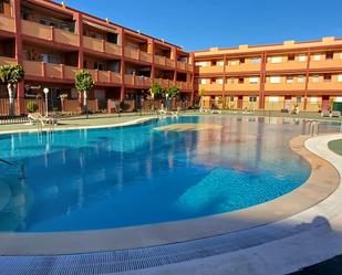 Swimming pool of Apartment to rent in La Oliva  with Terrace