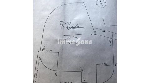 OPORTUNIDAD, immagine 4