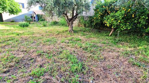 Foto 5 de Casa o chalet en venta en Villanueva de la Vera, Cáceres