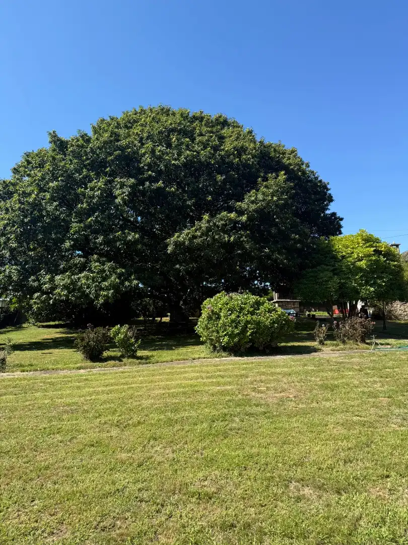 Casa o xalet en venda en Outeiro de Rei amb Calefacció, Jardí privat i Piscina