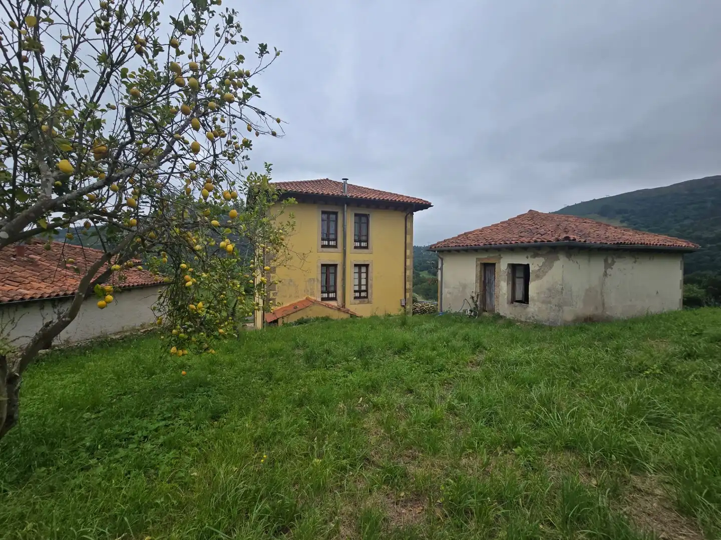 Vista exterior de Casa o chalet en venta en Peñamellera Baja con Calefacción, Jardín privado y Trastero