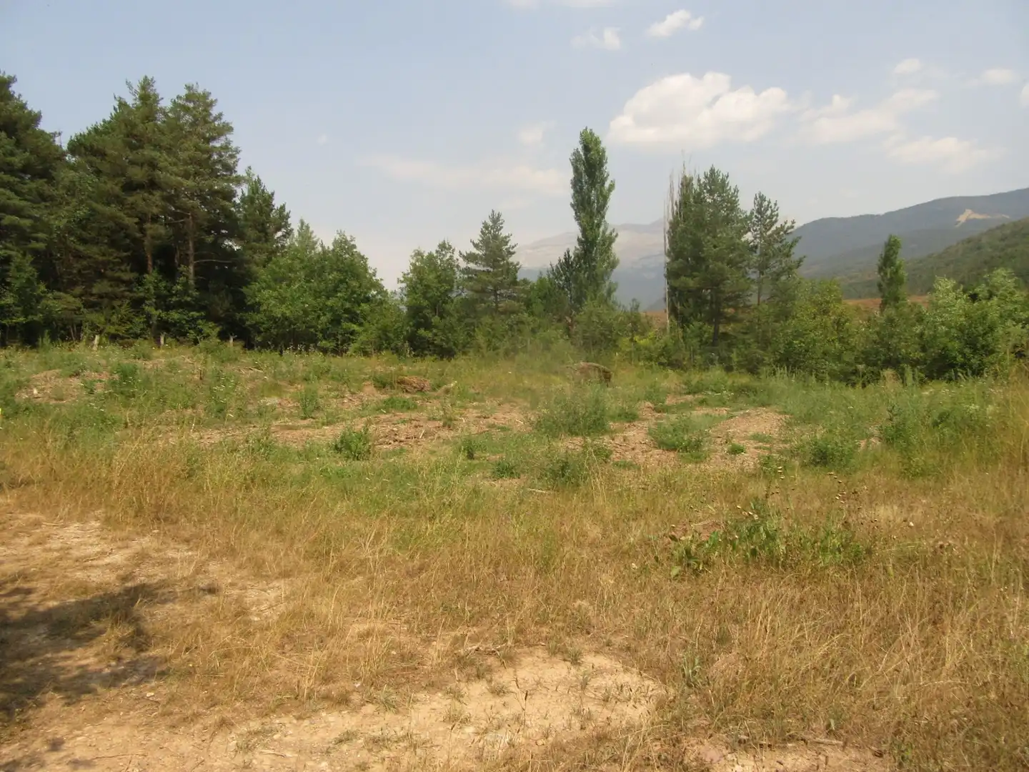 Terreni e lotti in vendita a Molino de Aratores, imagen 3