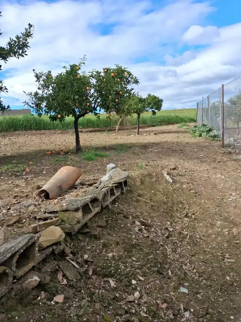 Planta baixa en venda en Orellana la Vieja