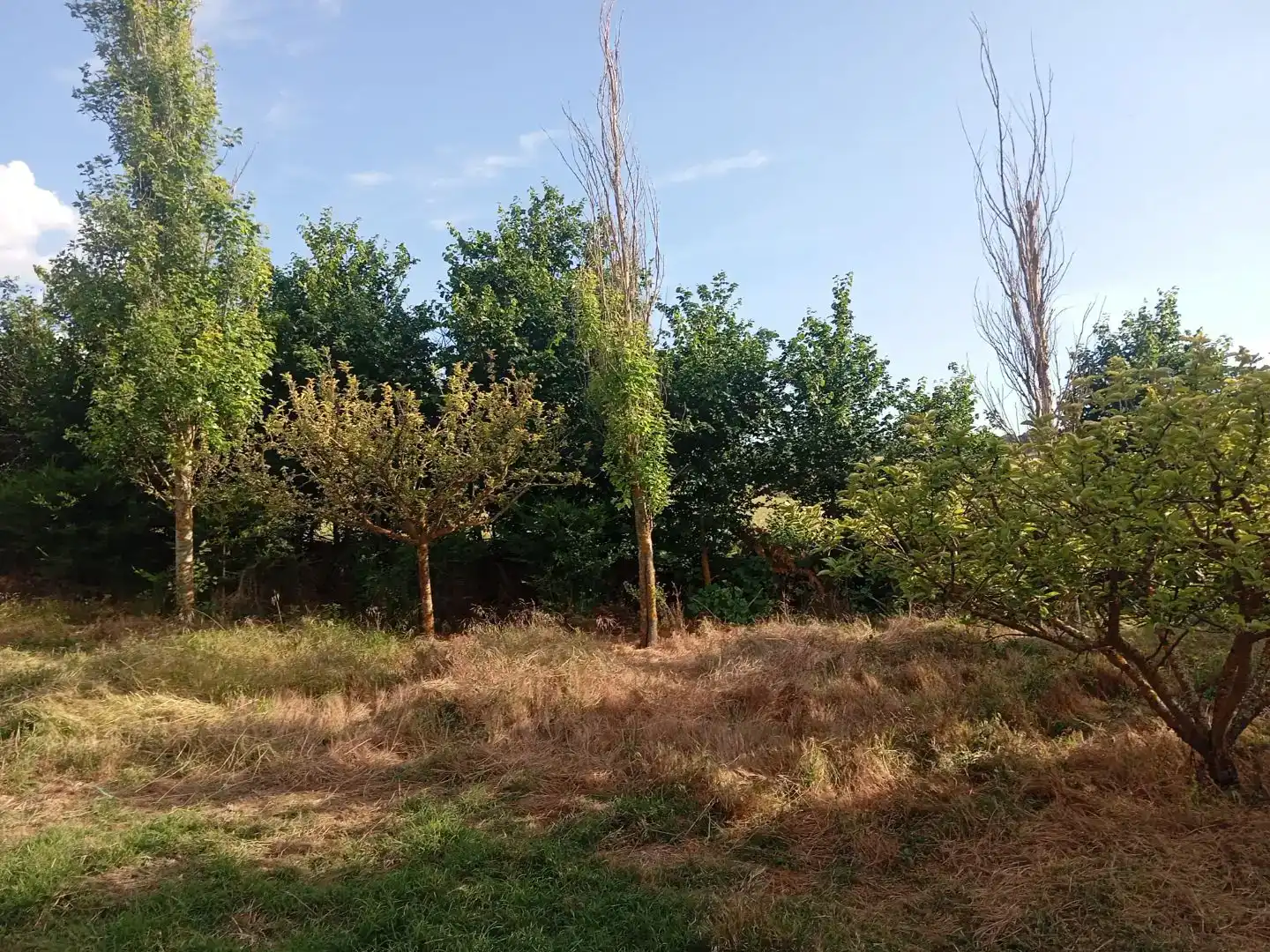 Casa adosada en venta en Arancón, Soria