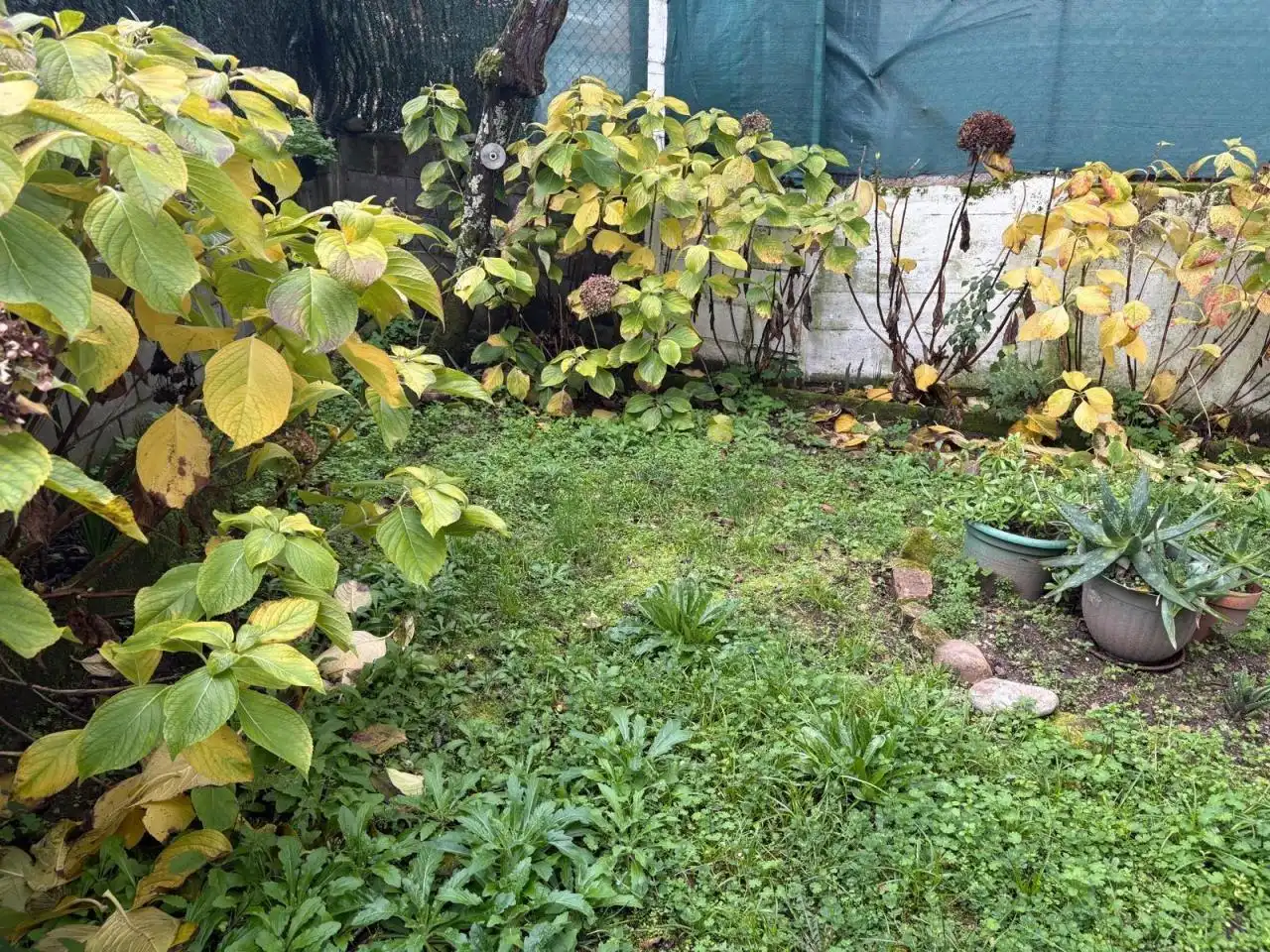 Piso en venta en Mariñamansa