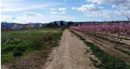 Residential for sale in Benissanet