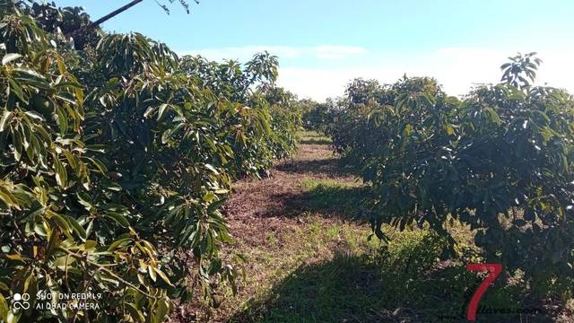 Finca rústica en Venta en Puntallana