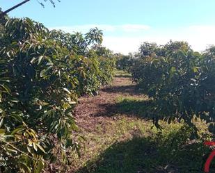 Finca rústica en venda en Puntallana