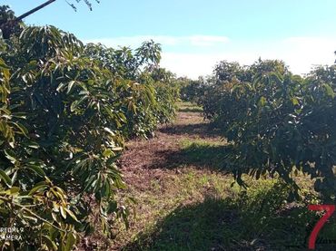 Casa rústica en venda a Puntallana