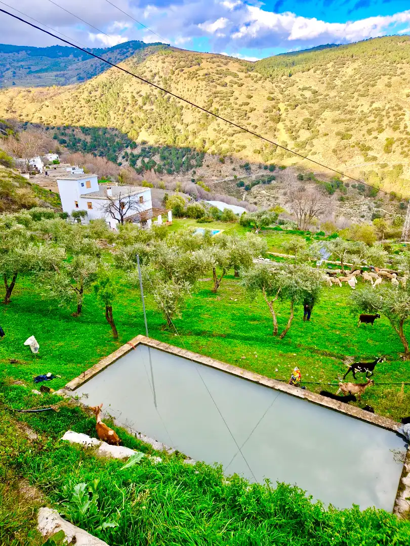 Jardín de Casa o chalet en venta en Bérchules con Calefacción, Jardín privado y Terraza
