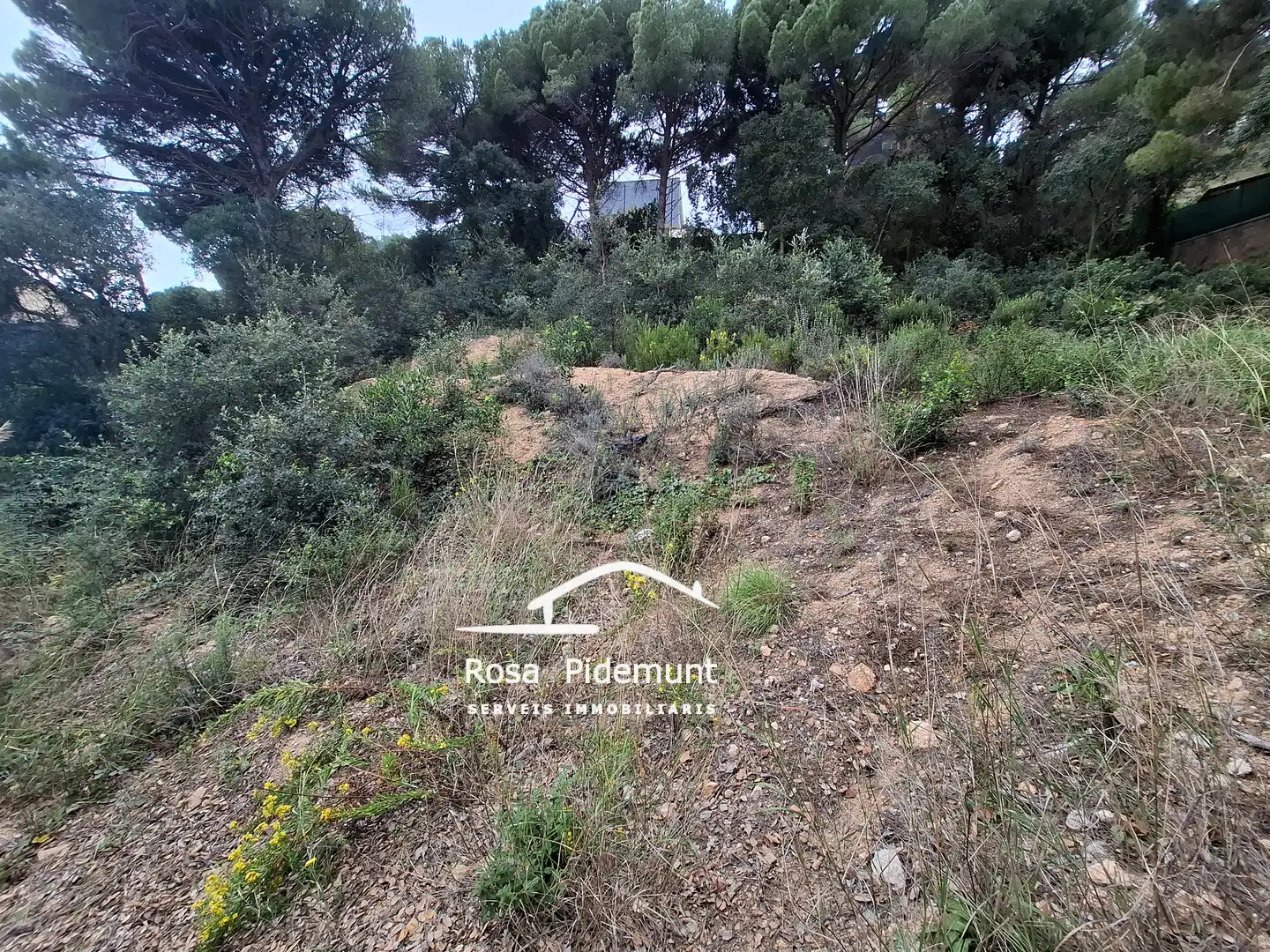 Terreno residencial en venta en Serra Brava, imagen 2