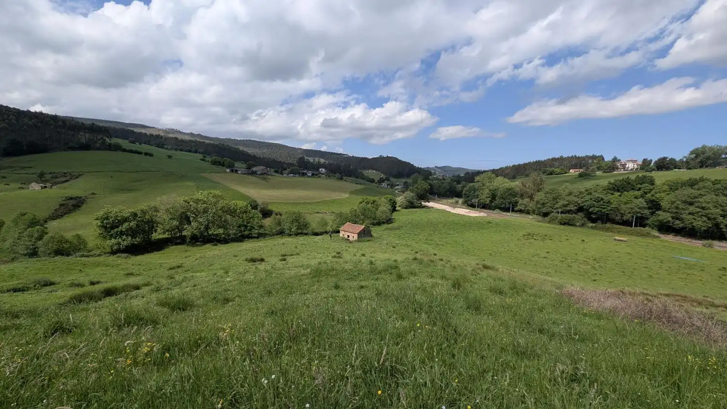 Country homes for sale in Piélagos