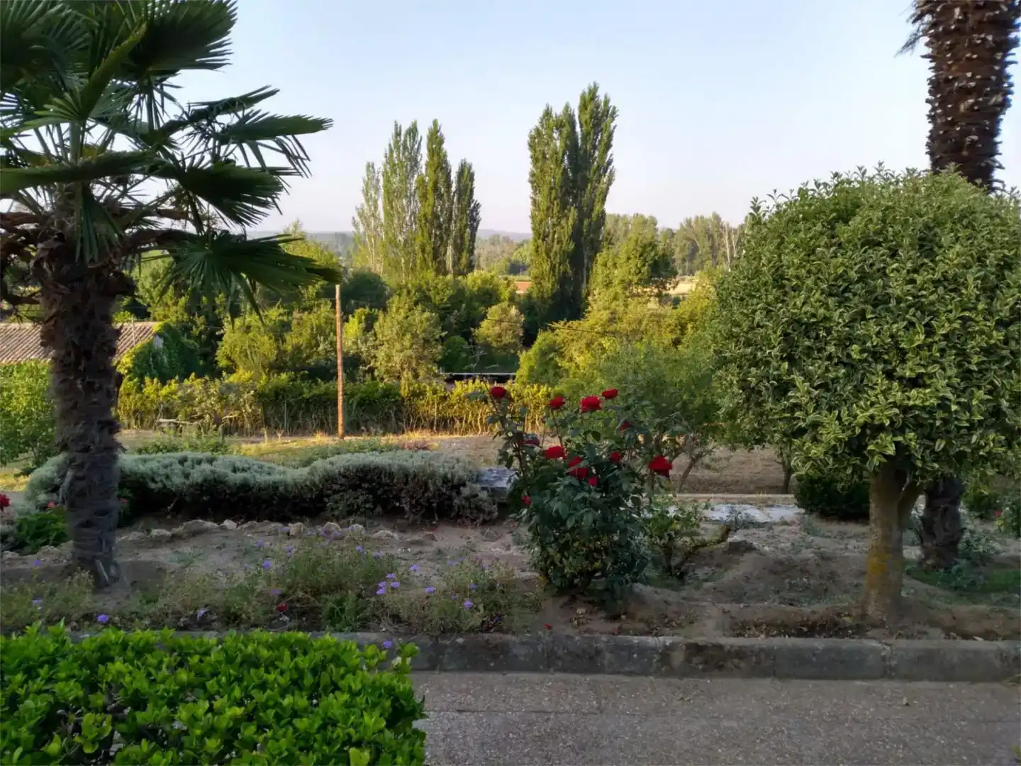 Jardí de Pis en venda en Ciudad Rodrigo amb Jardí privat, Piscina i Moblat