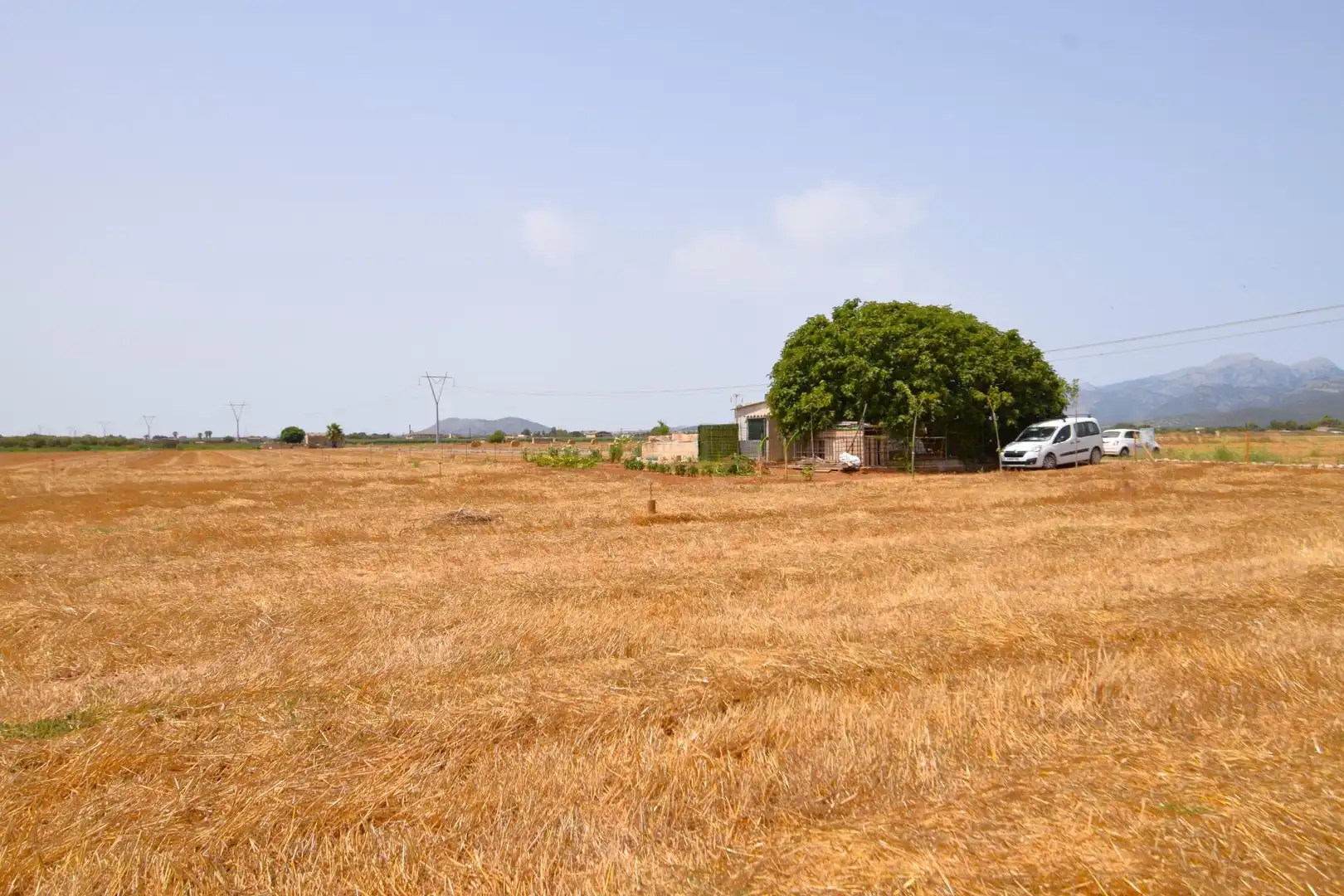 Finca rústica en venda en Sa Pobla amb Terrassa