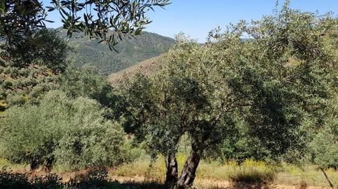 Foto 3 von Country house zum Verkauf in Villanueva de Córdoba, Córdoba