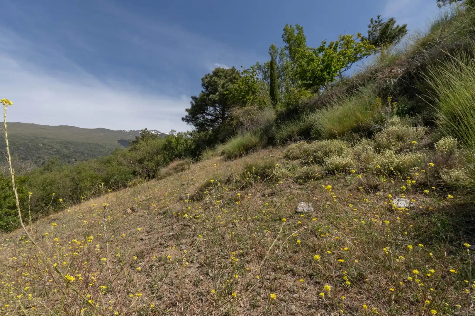Terreno en venta en Soportújar