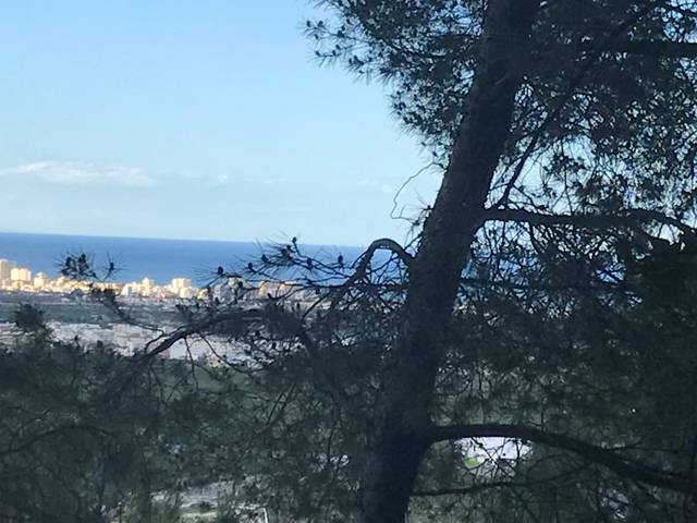 Terreno en Venta en La Font d'en Carròs