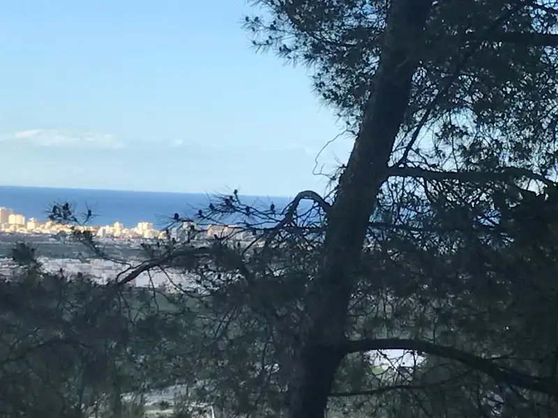 Terreny rústic en venda a La Font d'en Carròs
