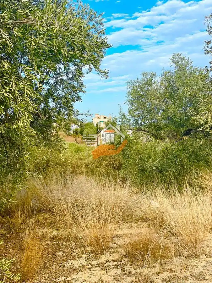 Terrenys i solars en venda a Vélez-Rubio