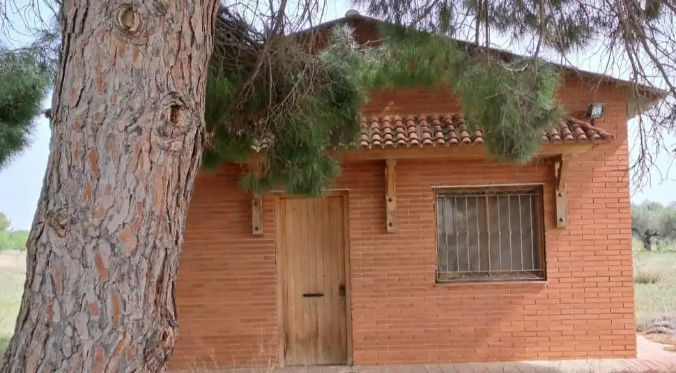 Vista exterior de Finca rústica en venta en Constantí